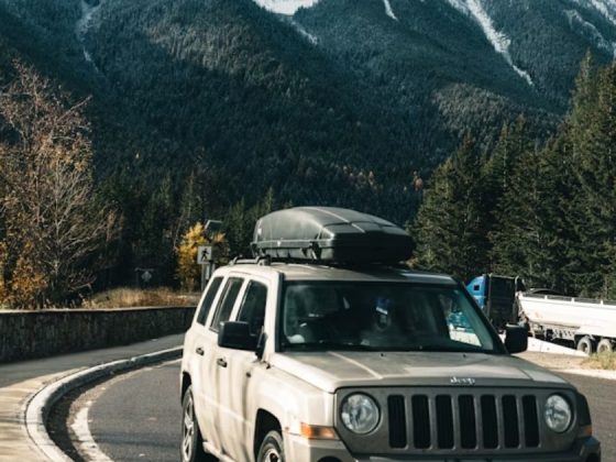 8 Road Trip Essentials for a Fun & Stress-Free Journey
