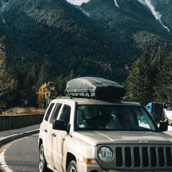 8 Road Trip Essentials for a Fun & Stress-Free Journey