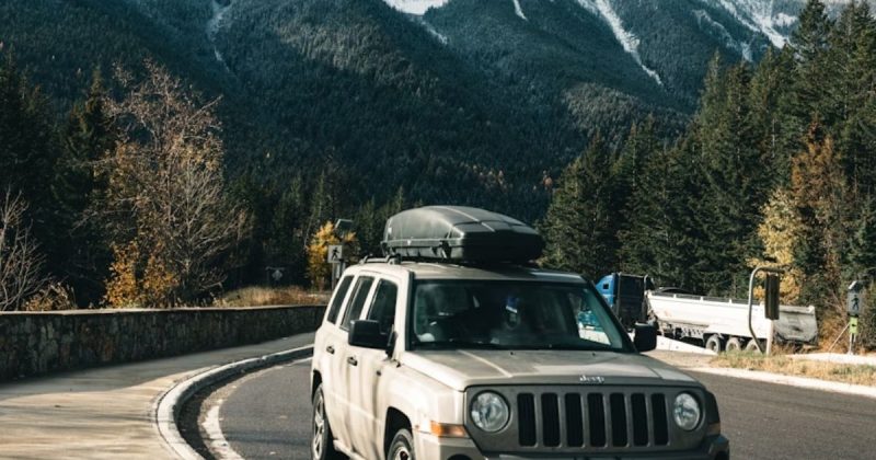 8 Road Trip Essentials for a Fun & Stress-Free Journey
