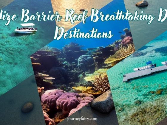 Belize Barrier Reef Breathtaking Dive Destinations